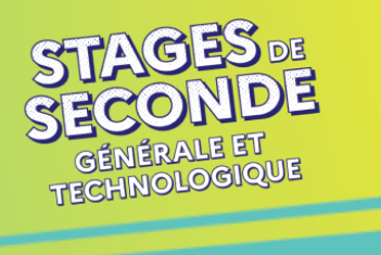 stage_de_seconde