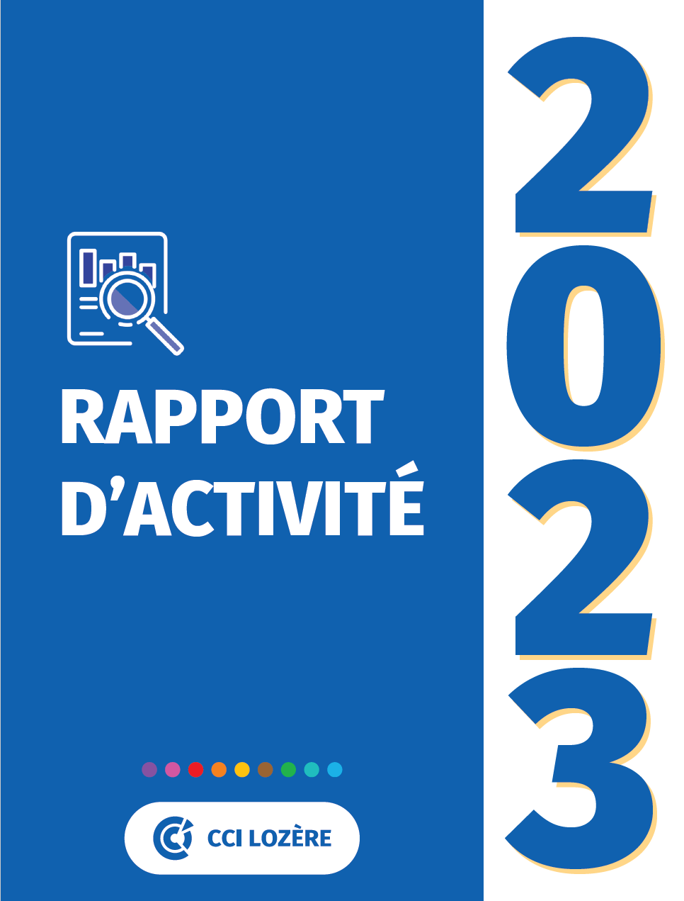 Rapport d'activite
