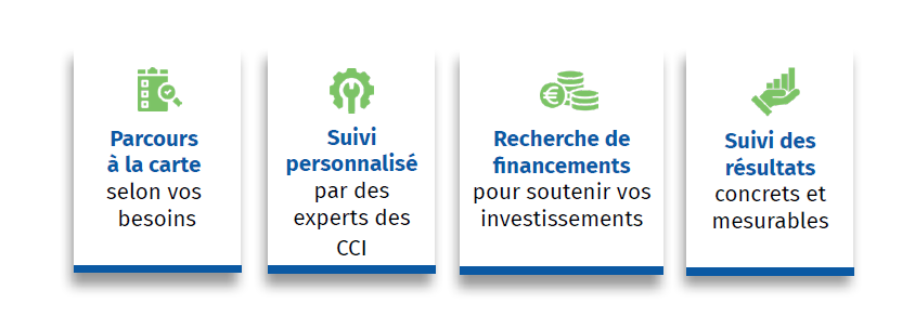 programme TransitionS