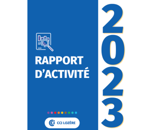 rapport d'activite 2023