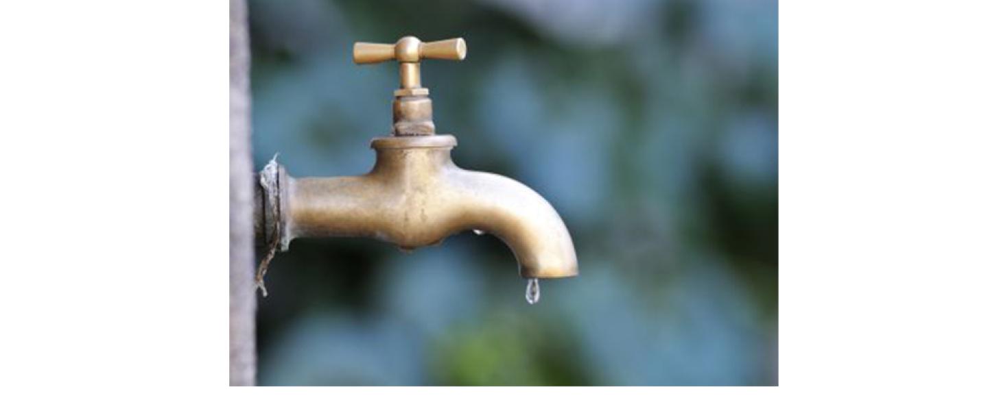 canicule